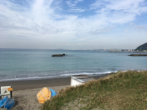 IMG_6847.jpg