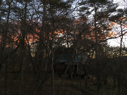 IMG_7479.jpg