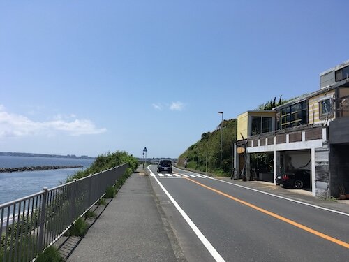IMG_8310.jpg