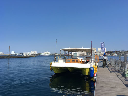 IMG_8833.jpg