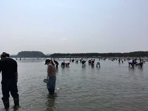 IMG_9022.jpg