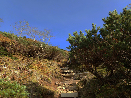 PA020002.jpg