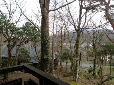 芦ノ湖キャンプ村